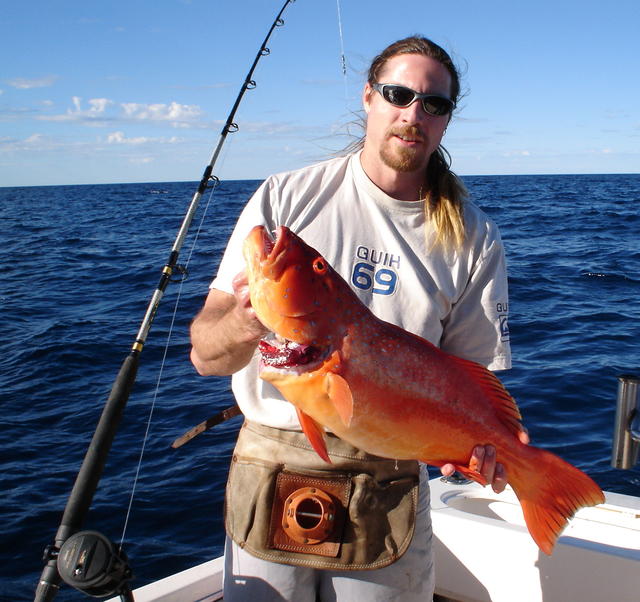 Hedland Trout